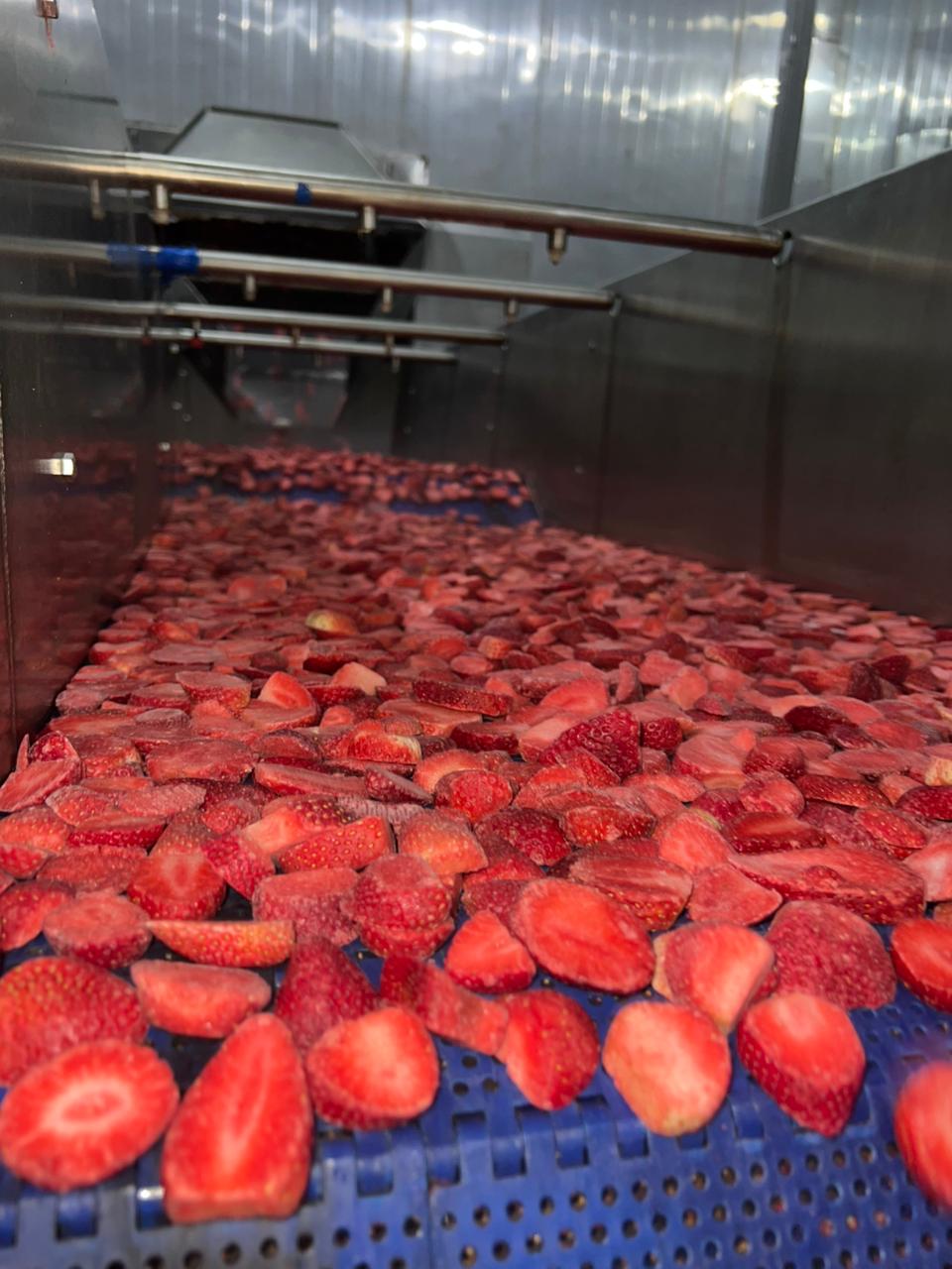 Armazenagem e transporte pensados para alimentos